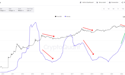 BTC가 $20,000를 넘어선 것에 기뻐하는 비트코인 ​​거래자들은 이 글을 읽고 싶어할 것입니다.