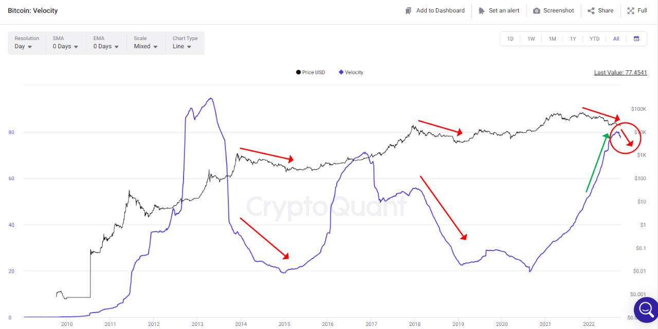 BTC가 $20,000를 넘어선 것에 기뻐하는 비트코인 ​​거래자들은 이 글을 읽고 싶어할 것입니다.