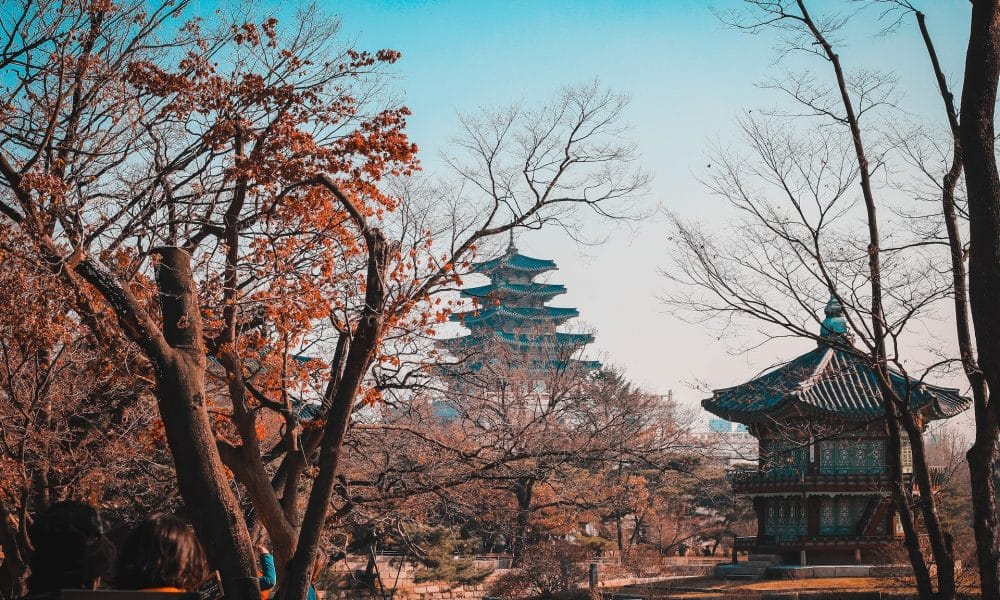 한국은 도권을 체포할 준비를 하고 있나-디코딩 세부사항
