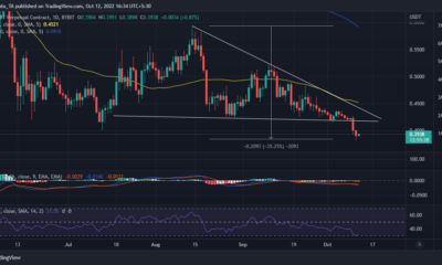 Cardano 소지자는 향후 ADA에서 이를 기대할 수 있습니다.