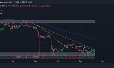 BTC 광부와 보유자는 이것이 일반적이며 축하할 가치가 없습니다.