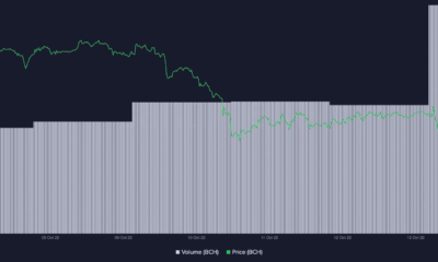 비트코인 캐시 [BCH]: 이 alt를 쓰기 전에 알아야 할 모든 것