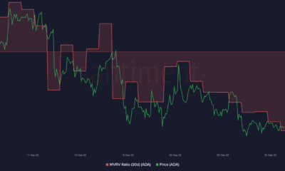 Cardano: 9월에 생성된 지갑은 360만입니다.  가격 인상을 보장할 수 있습니까?