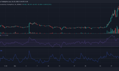 Dogecoin 비평가들은 DOGE가 46.48% 상승했다는 사실에 경악할 것입니다.