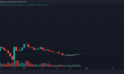 테라 루나 클래식 [LUNC] 2025-2030년 가격 예측: LUNC를 오래 지속해야 합니까?