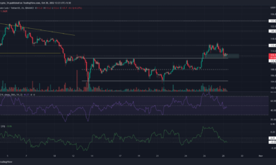 황소가 가격을 $ 120 이상으로 끌어 올리기 위해 Bitcoin Cash는 지원 영역을 다시 테스트합니다.