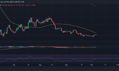 THORChain의 최신 Avalanche 관련 발표로 RUNE는…
