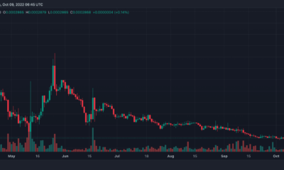 Safemoon (SFM) 가격 예측 2025-2030: SFM의 인기가 $0.38까지 올라갈 수 있습니까?