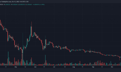 SafeMoon(SFM) 가격 예측 2025-2030: SFM이 달에 갈 수 있습니까?