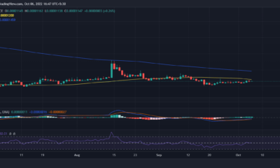 시바견 [SHIB] Shiba Eternity의 글로벌 출시에 대한 모든 것