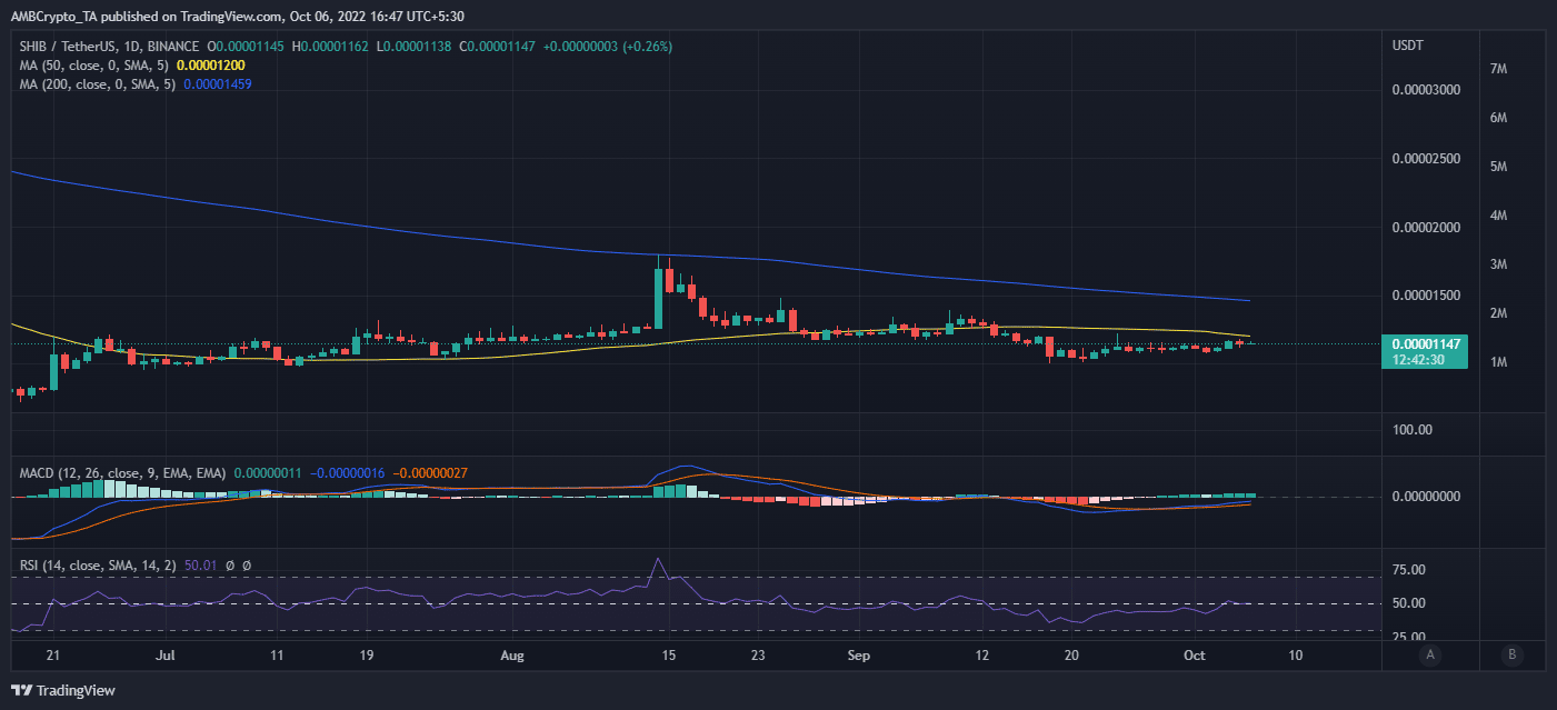 시바견 [SHIB] Shiba Eternity의 글로벌 출시에 대한 모든 것