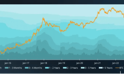 23% BTC를 소유한 BTC 단기 보유자가 킹 코인을 선호하는 이유