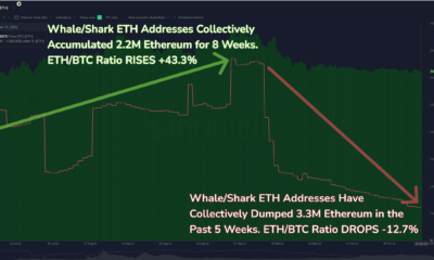 Ethereum의 최신 펌프 및 덤프는 ETH 대 BTC 비율에 대해 강조합니다.