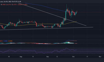 XRP의 10월 전망은 이러한 이유 덕분에 많은 가능성을 가지고 있습니다.