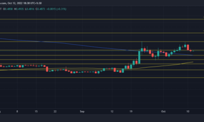 XRP 황소는 주요 수준에서 강점을 보여주지만 지금 구매해야 합니다.