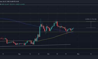 XRP 가격 조치