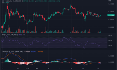 BTC 맥시멀리스트가 말한 후 XRP가 탈중앙화 시험에서 살아남을 수 있을까요?