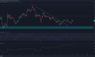 XRP, 5% 상승, 최근 하락세에도 불구하고 황소 매수
