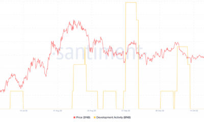 BNB 가격 및 개발 활동