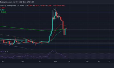Dogecoin의 [DOGE] 최근 하락이 실제로 매수 기회를 제시하고 있습니까?