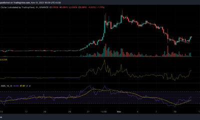 Dogecoin 가격 조치