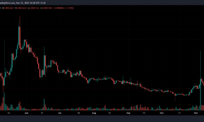 SafeMoon(SFM) 가격 예측 2025-2030: 이번 암호화폐 겨울에 SFM에 베팅해야 합니까?