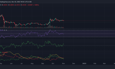 XRP: LTH용 XLS-20 NFT 표준 출시 디코딩
