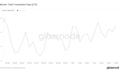 Litecoin 채굴자들은 축하할 이유가 있을지 모르지만 LTC 보유자들도 똑같이 말할 수 있습니까?