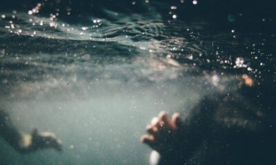 사후 FTT 붕괴 - FTX가 '경험이 없는' '아이들이 이끄는' 방법