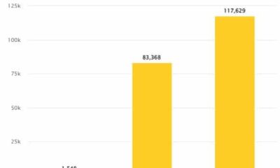 2022년 암호화폐 '사기 토큰'의 41% 증가에 대해 알아야 할 모든 것
