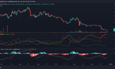 MACD 및 방향성 움직임 지수를 보여주는 ADA 가격 조치