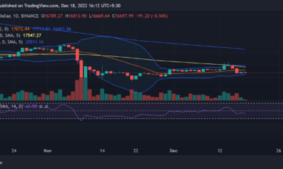 BTC 가격 설명