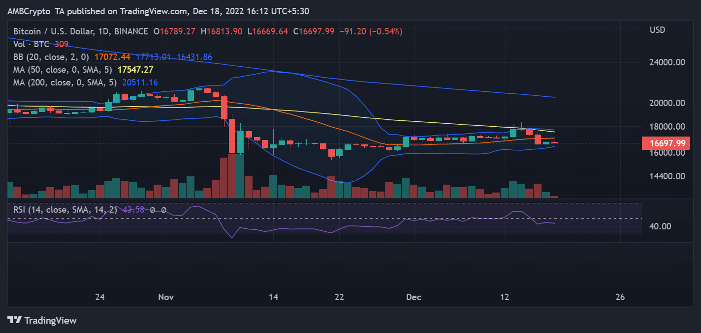 BTC 가격 설명