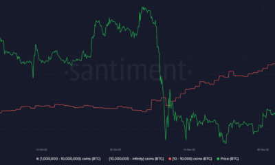 비트코인 [BTC]: 매도 압력이 둔화되었습니다. 하지만 매수 압력은 어떻습니까?