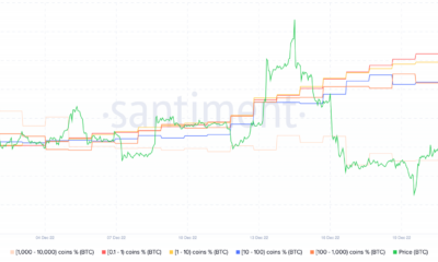 Bitcoin 고래가 사라지는 가운데 BTC 투자자는 요새를 유지할 준비가 된 것 같습니다.