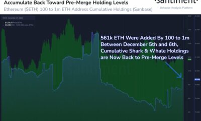 ETH 키 주소는 축적을 강화하고 약한 손은 계속 손실을 입고 판매합니다.