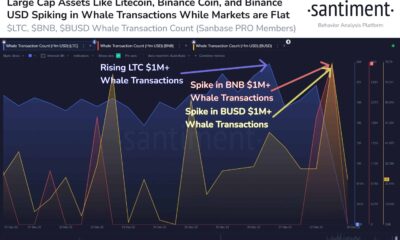 Litecoin 투자자는 '고래를 끝내는 모든 고래' 때문에 걱정할 필요가 없습니다.