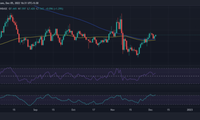 Chainlink LINK 가격 조치