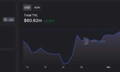 Cardano 지갑은 북쪽으로 이동하지만 단기적으로 ADA에 어떤 의미가 있습니까?
