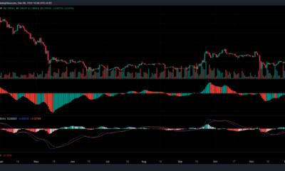XRP 피어스 액션