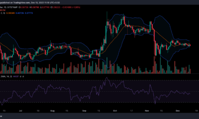 리플 [XRP] 가격 행동