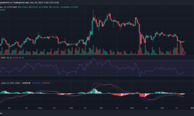 리플 [XRP] 가격 행동
