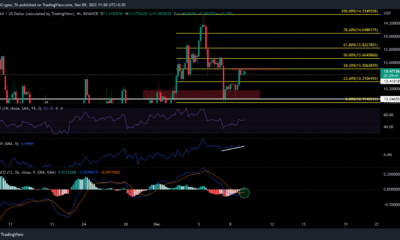 AVAX의 단기 강세 MACD 크로스오버에 베팅하시겠습니까?  이것을 먼저 읽으십시오