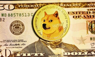 Dogecoin은 Elon Musk의 Twitter 설문 조사에 따라 가격에 충격적인 영향을 미쳤습니다.