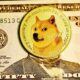 Dogecoin은 Elon Musk의 Twitter 설문 조사에 따라 가격에 충격적인 영향을 미쳤습니다.