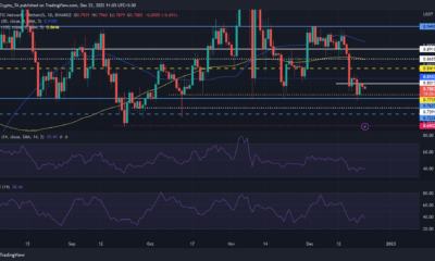가격 회복 모드의 MATIC, 철회가 $0.7735에 도달할까요?
