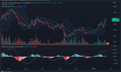 ApeCoin 가격 조치