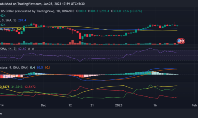 바이낸스(BNB) 가격 움직임
