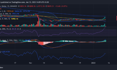 비트코인(BTC)
