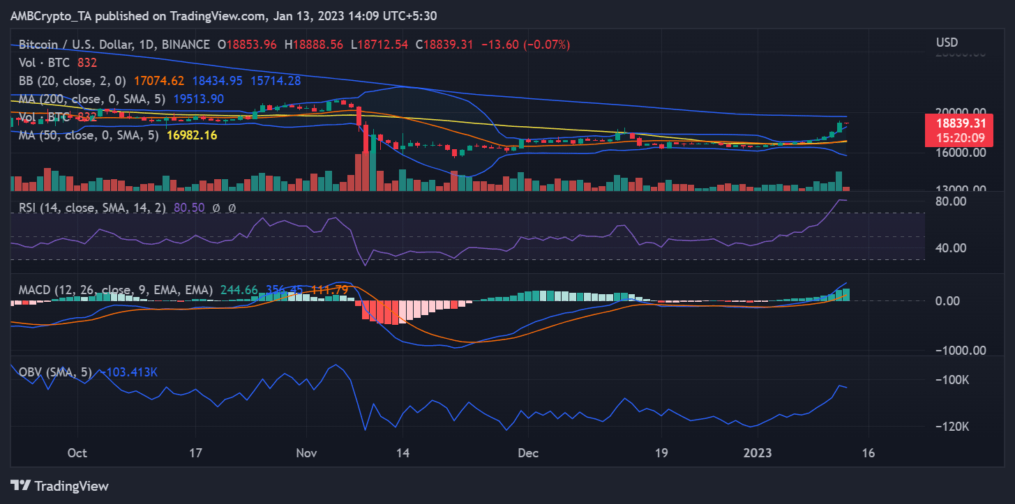 비트코인(BTC)